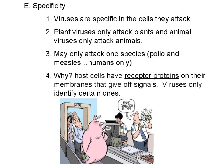 E. Specificity 1. Viruses are specific in the cells they attack. 2. Plant viruses