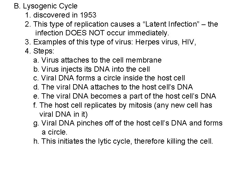 B. Lysogenic Cycle 1. discovered in 1953 2. This type of replication causes a