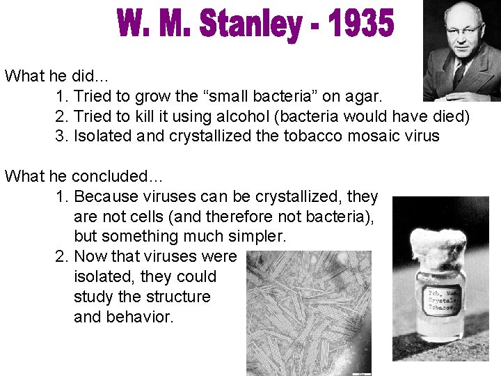 What he did… 1. Tried to grow the “small bacteria” on agar. 2. Tried