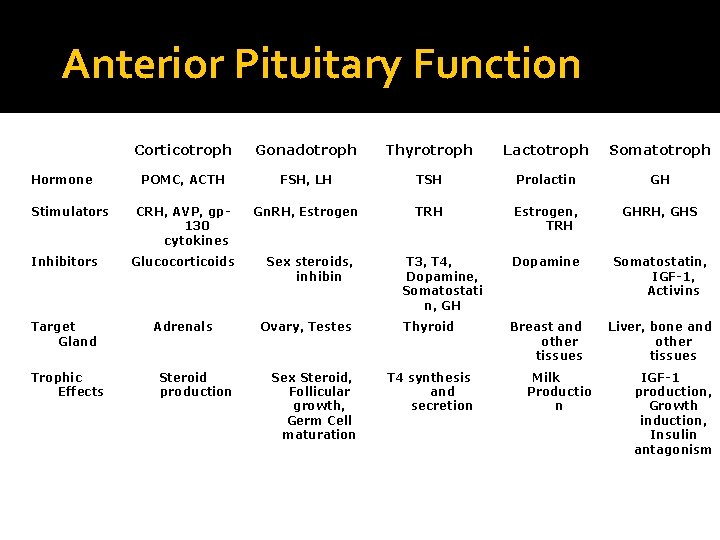 Anterior Pituitary Function Hormone Stimulators Corticotroph Gonadotroph Thyrotroph Lactotroph Somatotroph POMC, ACTH FSH, LH