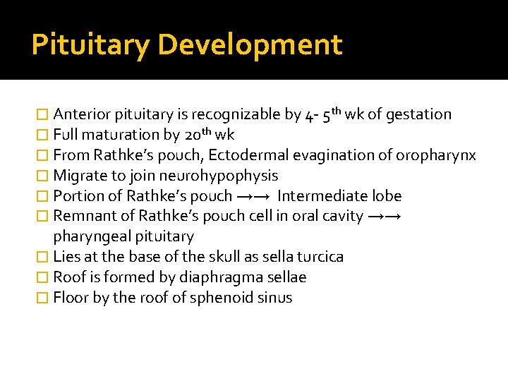 Pituitary Development � Anterior pituitary is recognizable by 4 - 5 th wk of