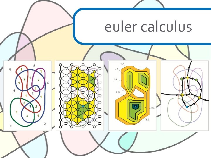 euler calculus 