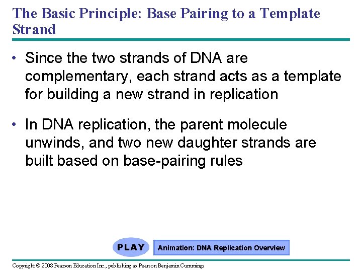 The Basic Principle: Base Pairing to a Template Strand • Since the two strands