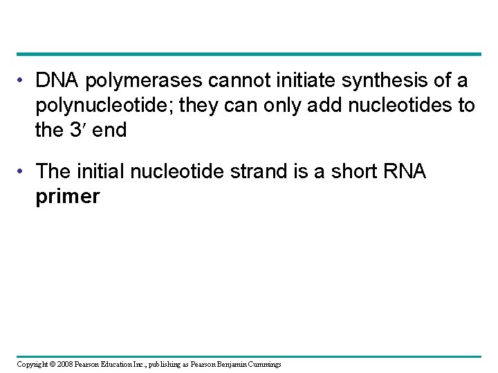  • DNA polymerases cannot initiate synthesis of a polynucleotide; they can only add