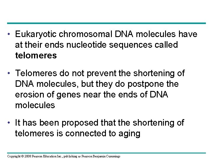  • Eukaryotic chromosomal DNA molecules have at their ends nucleotide sequences called telomeres