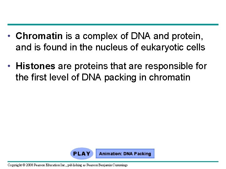  • Chromatin is a complex of DNA and protein, and is found in