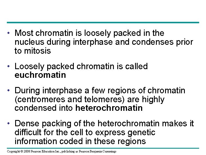  • Most chromatin is loosely packed in the nucleus during interphase and condenses