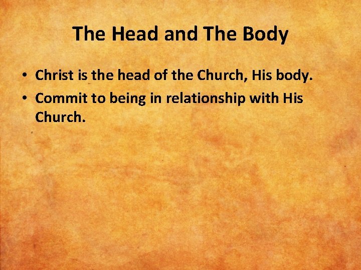 The Head and The Body • Christ is the head of the Church, His