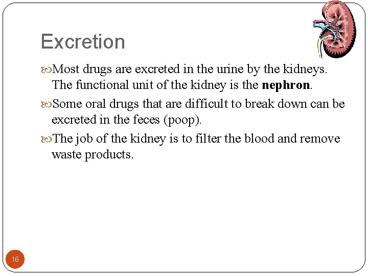 Excretion Most drugs are excreted in the urine by the kidneys. The functional unit