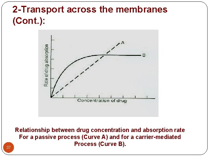 2 -Transport across the membranes (Cont. ): 37 Relationship between drug concentration and absorption