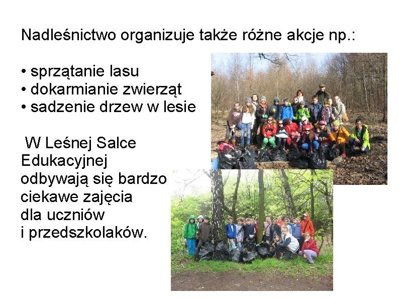 Nadleśnictwo organizuje także różne akcje np. : • sprzątanie lasu • dokarmianie zwierząt •