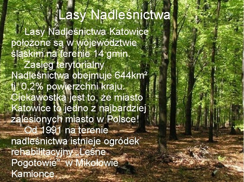 Lasy Nadleśnictwa Katowice położone są w województwie śląskim na terenie 14 gmin. Zasięg terytorialny