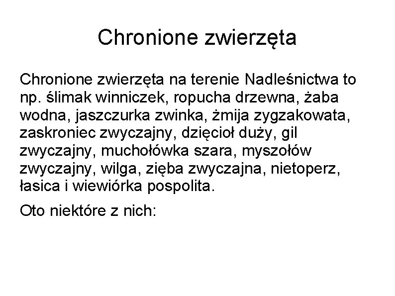 Chronione zwierzęta na terenie Nadleśnictwa to np. ślimak winniczek, ropucha drzewna, żaba wodna, jaszczurka