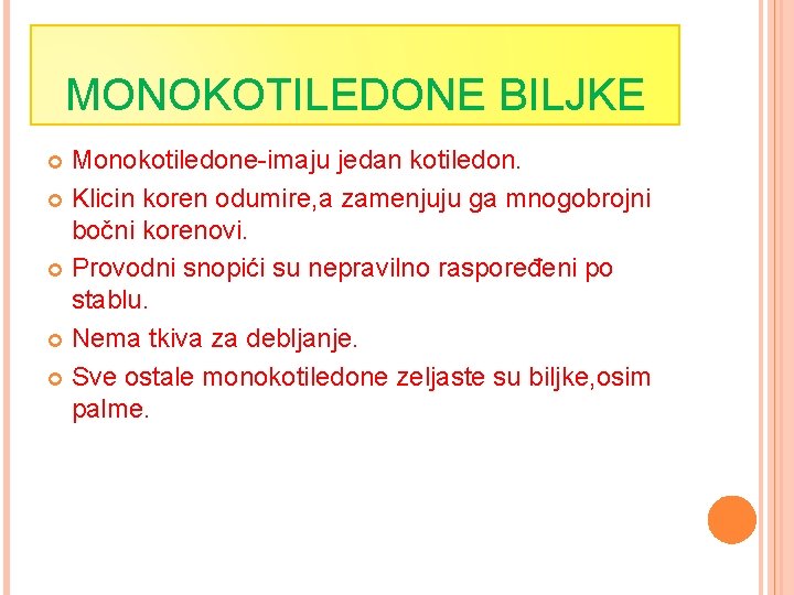 MONOKOTILEDONE BILJKE Monokotiledone-imaju jedan kotiledon. Klicin koren odumire, a zamenjuju ga mnogobrojni bočni korenovi.