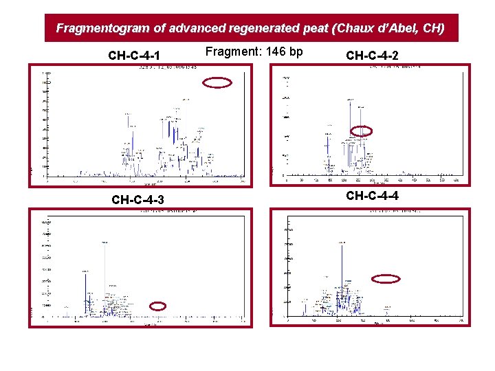 Fragmentogram of advanced regenerated peat (Chaux d’Abel, CH) CH-C-4 -1 CH-C-4 -3 Fragment: 146