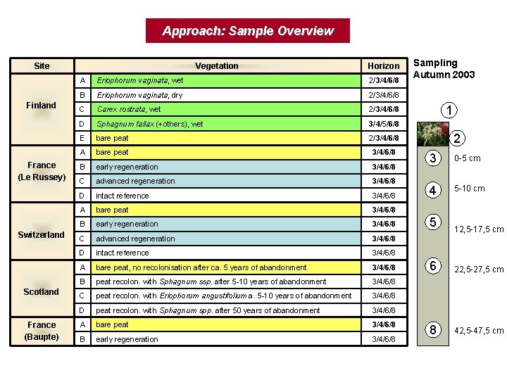 Approach: Sample Overview Site Finland France (Le Russey) Switzerland Scotland France (Baupte) Vegetation Horizon