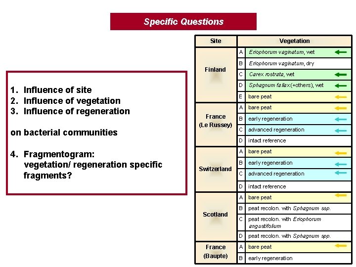 Specific Questions Site Finland 1. Influence of site 2. Influence of vegetation 3. Influence