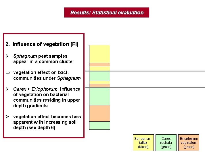 Results: Statistical evaluation 2. Influence of vegetation (FI) Ø Sphagnum peat samples appear in
