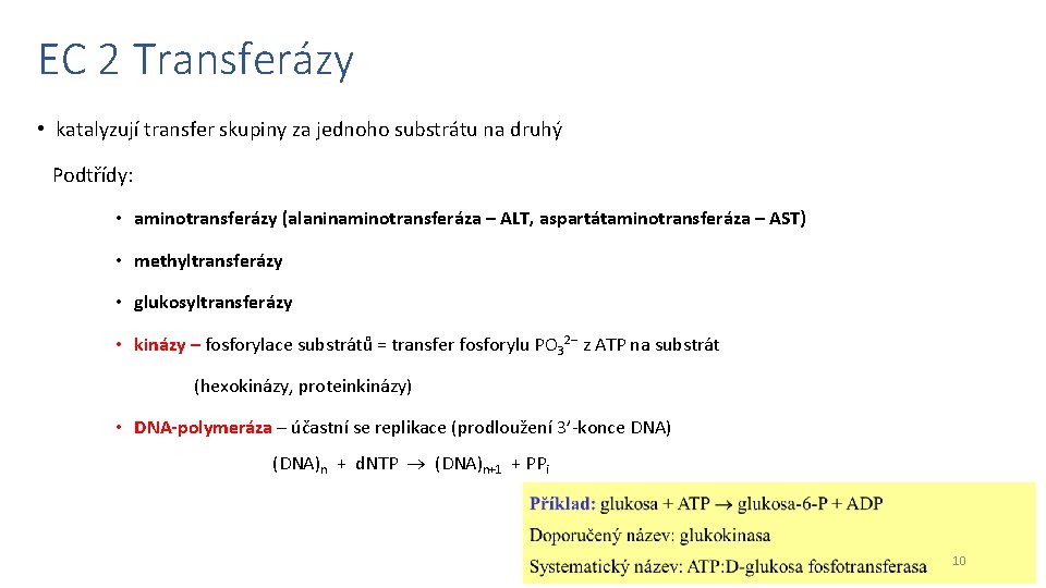 EC 2 Transferázy • katalyzují transfer skupiny za jednoho substrátu na druhý Podtřídy: •