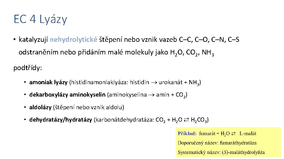 EC 4 Lyázy • katalyzují nehydrolytické štěpení nebo vznik vazeb C–C, C–O, C–N, C–S