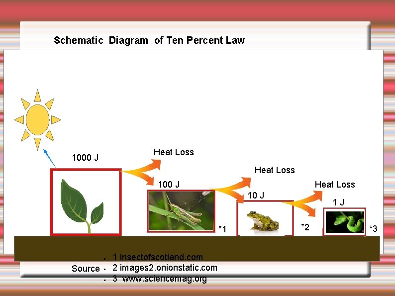 Schematic Diagram of Ten Percent Law Heat Loss 1000 J Heat Loss 10 J