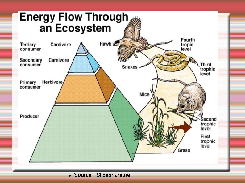  Source : Slideshare. net 