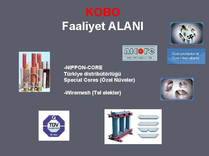 KOBO Faaliyet ALANI -NIPPON-CORE Türkiye distribütörlüğü Special Cores (Özel Nüveler) -Wiremesh (Tel elekler) 