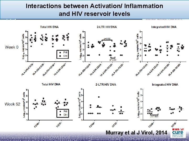 Interactions between Activation/ Inflammation and HIV reservoir levels Murray et al J Virol, 2014