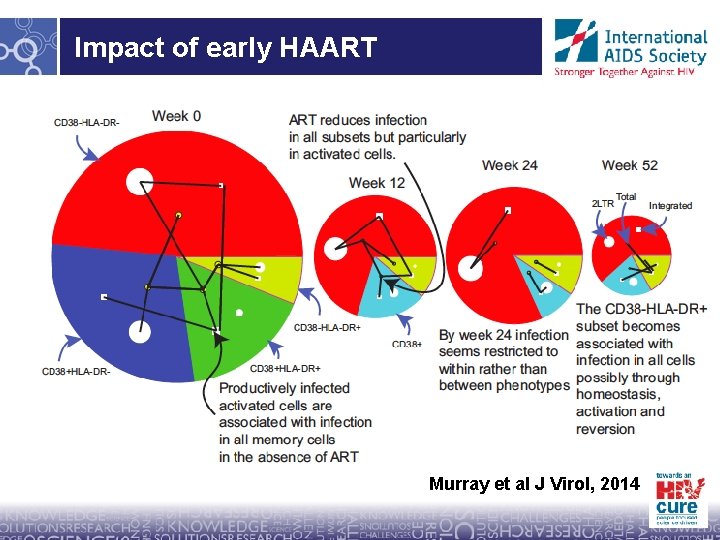 Impact of early HAART Murray et al J Virol, 2014 