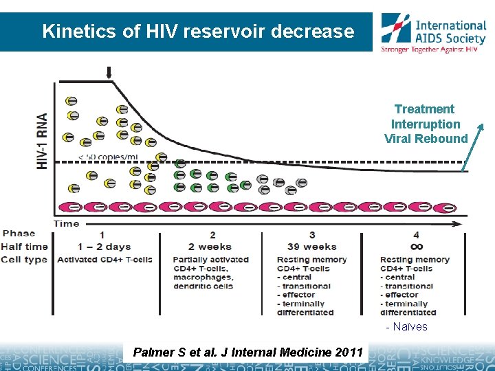 Kinetics of HIV reservoir decrease Treatment Interruption Viral Rebound - Naïves Palmer S et