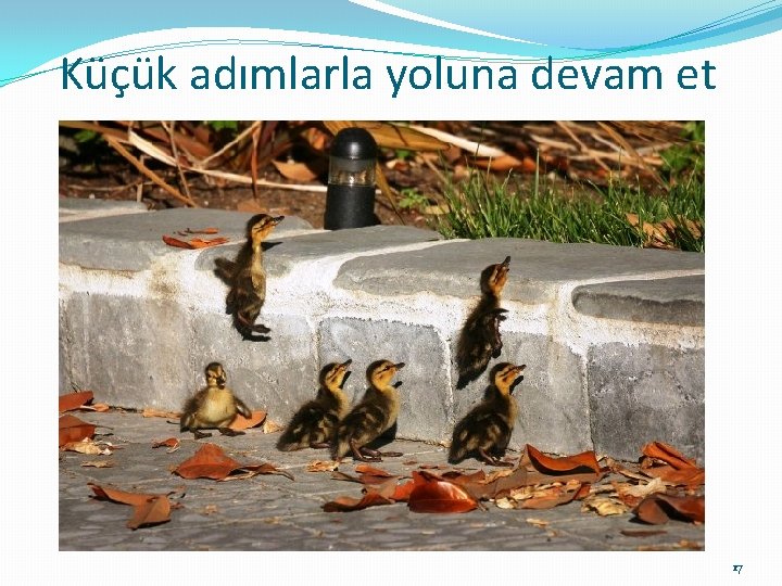 Küçük adımlarla yoluna devam et 17 