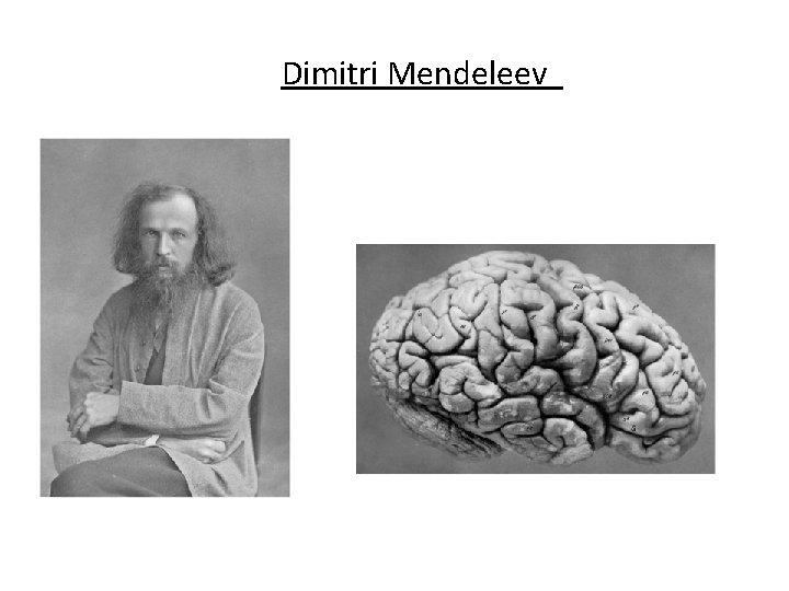Dimitri Mendeleev 