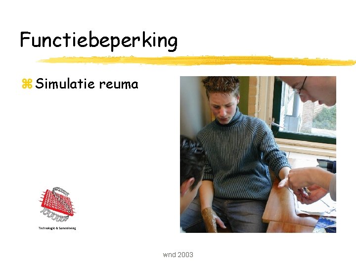 Functiebeperking z Simulatie reuma wnd 2003 