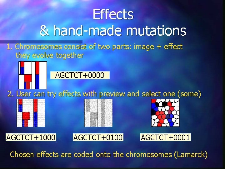 Effects & hand-made mutations 1. Chromosomes consist of two parts: image + effect they