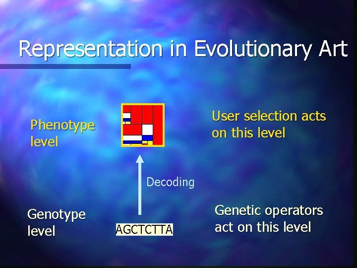 Representation in Evolutionary Art User selection acts on this level Phenotype level Decoding Genotype