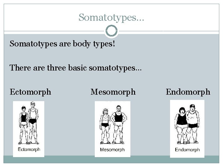 Somatotypes… Somatotypes are body types! There are three basic somatotypes… Ectomorph Mesomorph Endomorph 