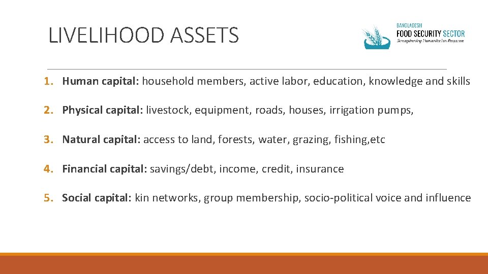 LIVELIHOOD ASSETS 1. Human capital: household members, active labor, education, knowledge and skills 2.