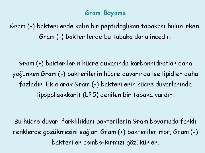 Gram Boyama Gram (+) bakterilerde kalın bir peptidoglikan tabakası bulunurken, Gram (-) bakterilerde bu