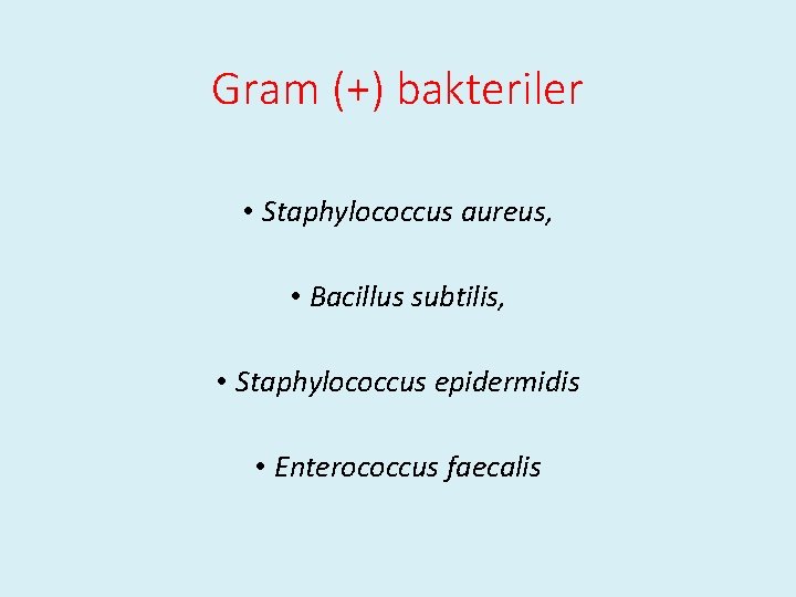 Gram (+) bakteriler • Staphylococcus aureus, • Bacillus subtilis, • Staphylococcus epidermidis • Enterococcus