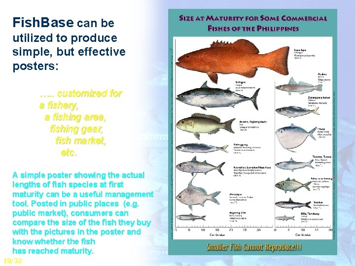 Fish. Base can be utilized to produce simple, but effective posters: …. . customized