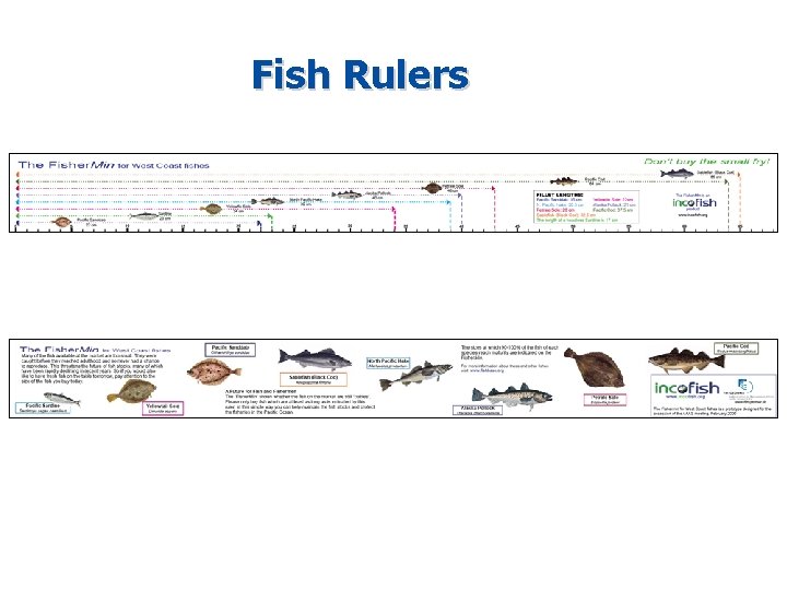 Fish Rulers 