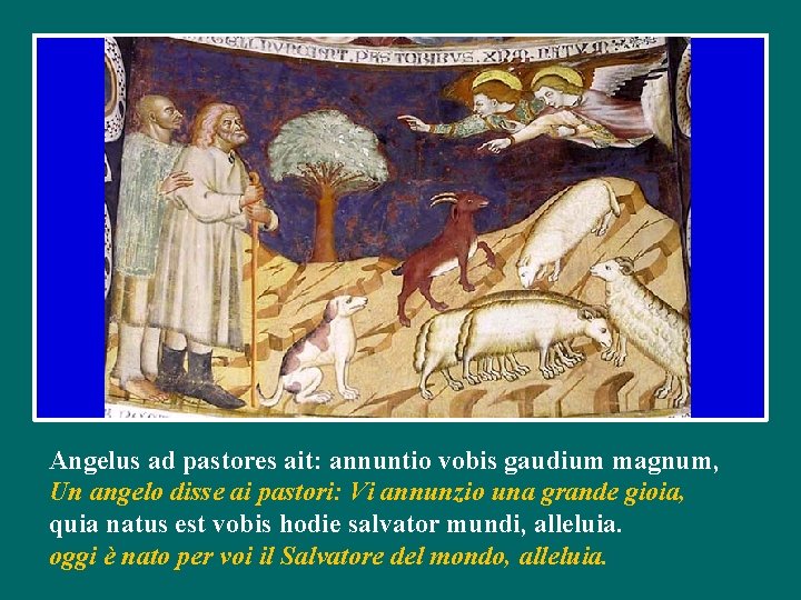 Angelus ad pastores ait: annuntio vobis gaudium magnum, Un angelo disse ai pastori: Vi