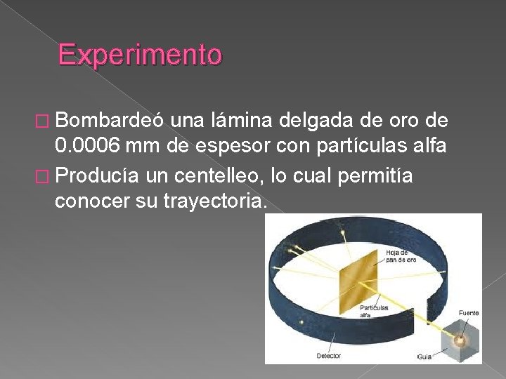 Experimento � Bombardeó una lámina delgada de oro de 0. 0006 mm de espesor