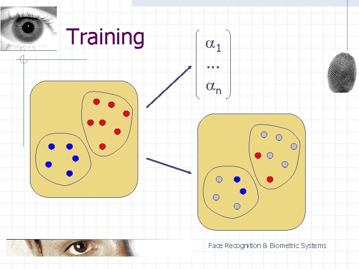 Training 1. . . n Face Recognition & Biometric Systems 