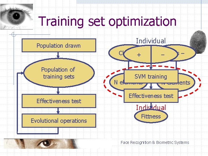 Training set optimization Population drawn Individual Class ++ Population of training sets Effectiveness test