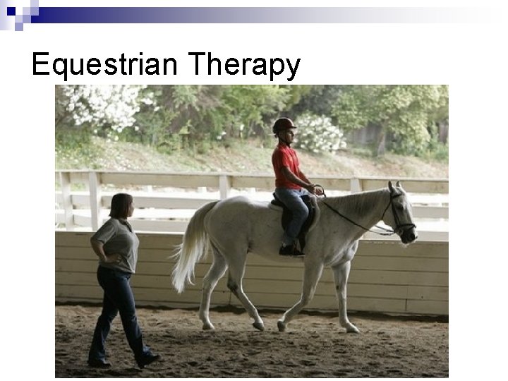 Equestrian Therapy 