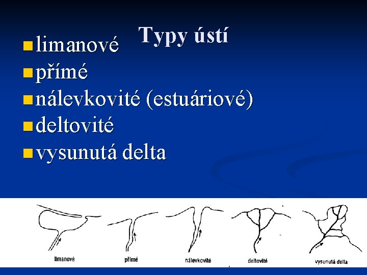 Typy ústí n limanové n přímé n nálevkovité (estuáriové) n deltovité n vysunutá delta