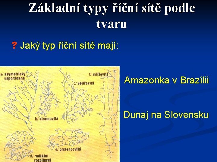 Základní typy říční sítě podle tvaru ? Jaký typ říční sítě mají: Amazonka v