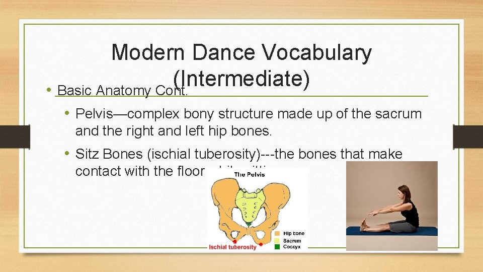 Modern Dance Vocabulary (Intermediate) • Basic Anatomy Cont. • Pelvis—complex bony structure made up