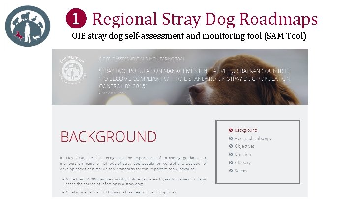 ❶ Regional Stray Dog Roadmaps OIE stray dog self-assessment and monitoring tool (SAM Tool)